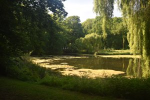 Advancing Water Management in Hemmen